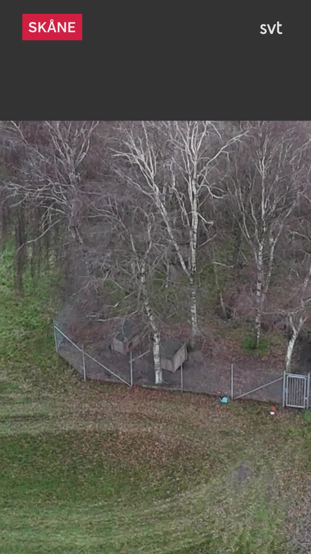 Kommunal chefs hund 
fick egen rastgård